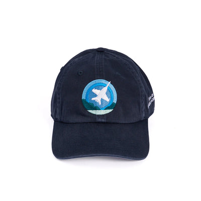 Boeing Skyward Hat Variants