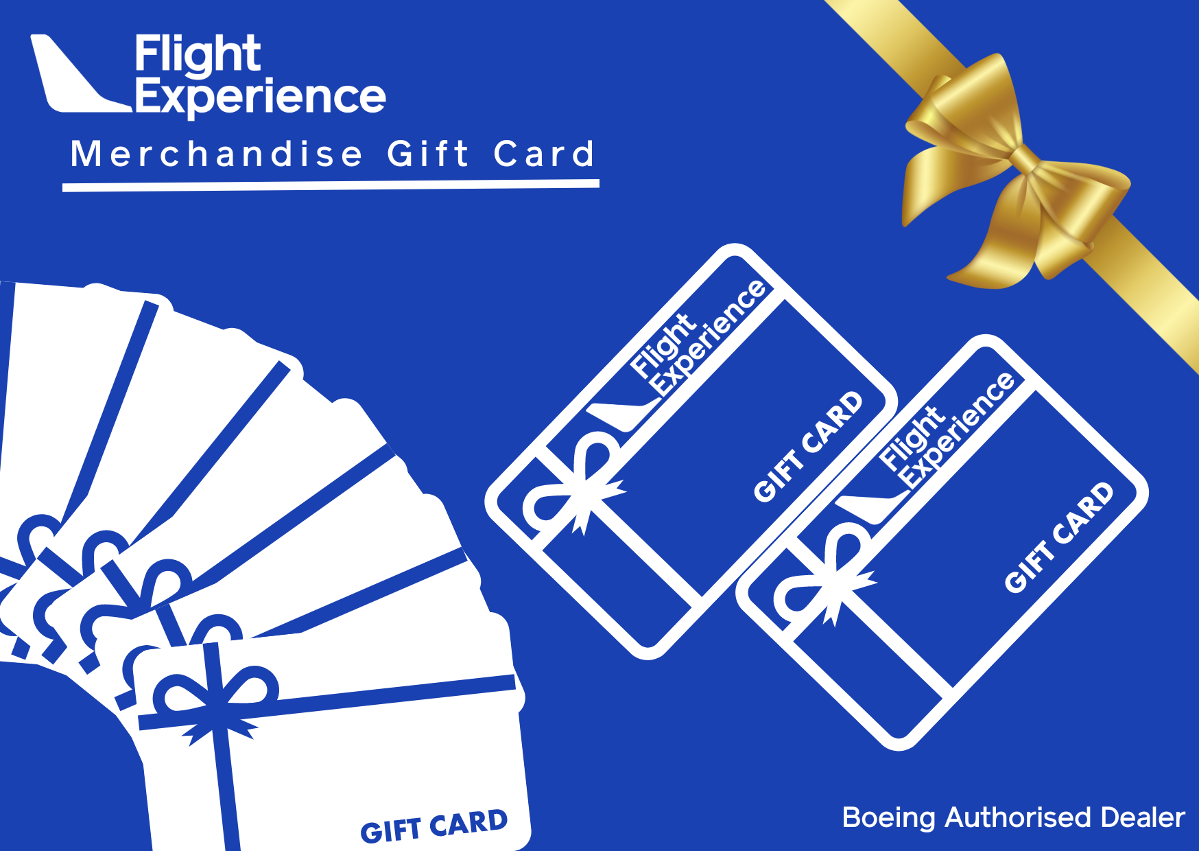 Flight Experience Merchandise Gift Card (Digital)